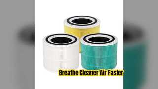 Best Replacement Filter for Levoit Core 300 Air Purifiers