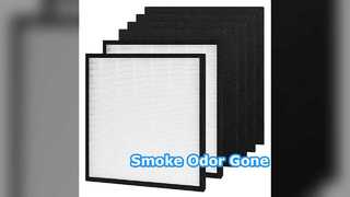 HEPA Filter Removes Smoke Pet Odors